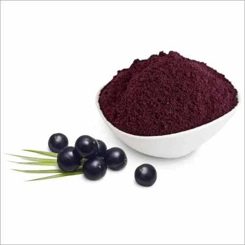 Elderberry Extract Powder