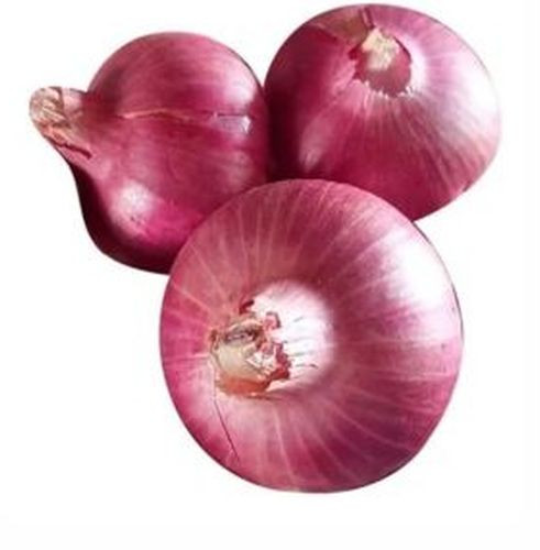 A Grade Natural Pink Onion