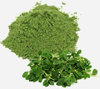 Dehydrated Methi Powder