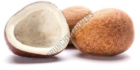 Dried Coconut