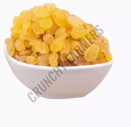 Golden Raisins