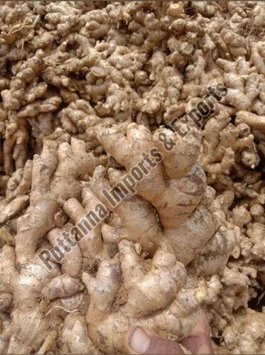 A Grade Fresh Ginger