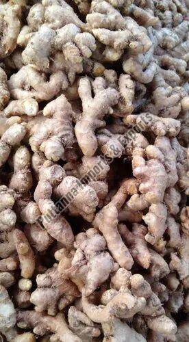 Fresh Brown Ginger