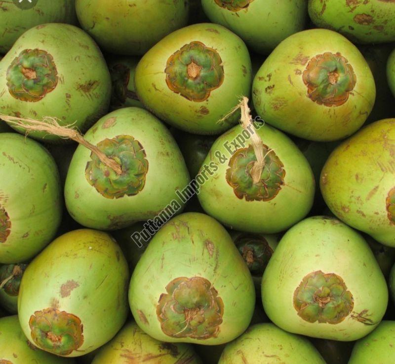 Fresh Tender Coconut