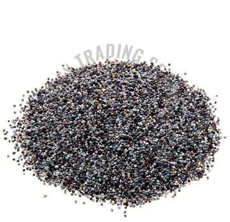 Black Poppy Seeds