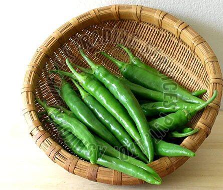 Fresh Green Chilli