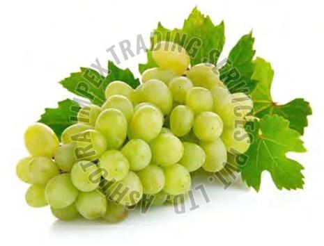 Fresh Green Grapes