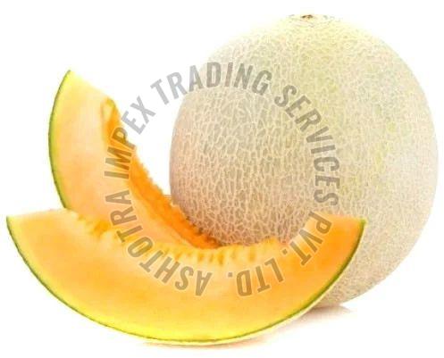 Fresh Muskmelon