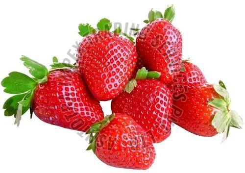 Fresh Strawberry