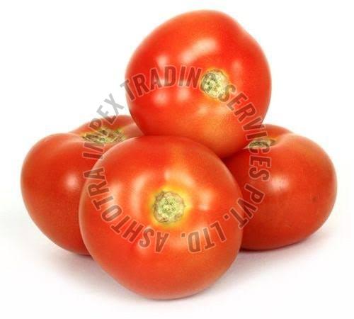 Fresh Tomato