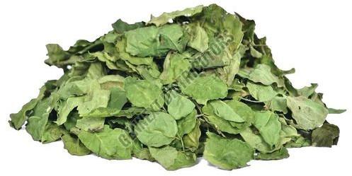 Moringa Leaves