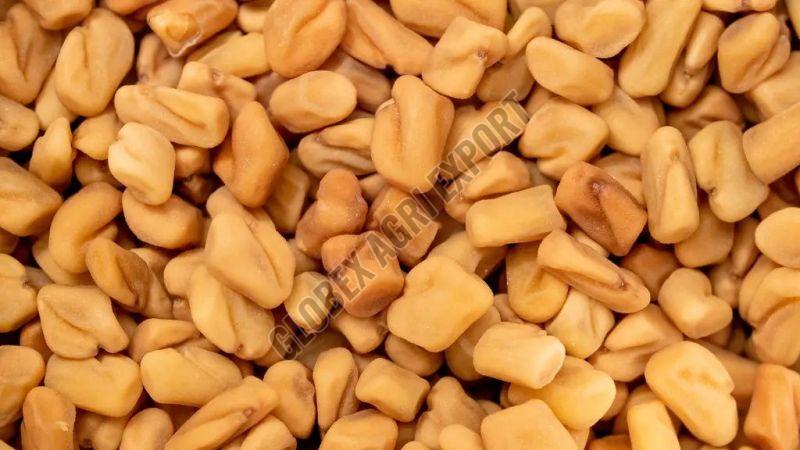 Premium Fenugreek Seeds