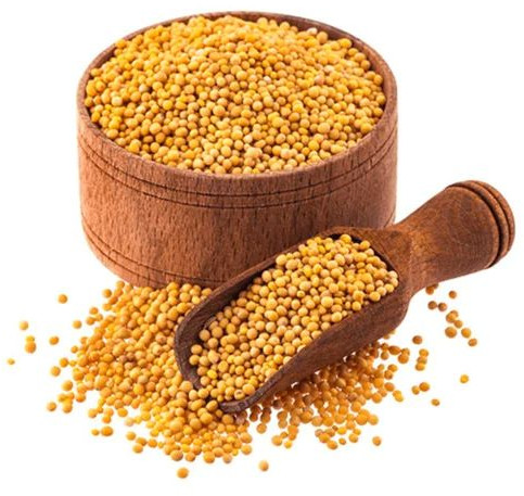 Yellow Mustard Seeds