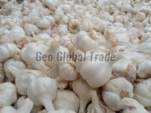 White Garlic