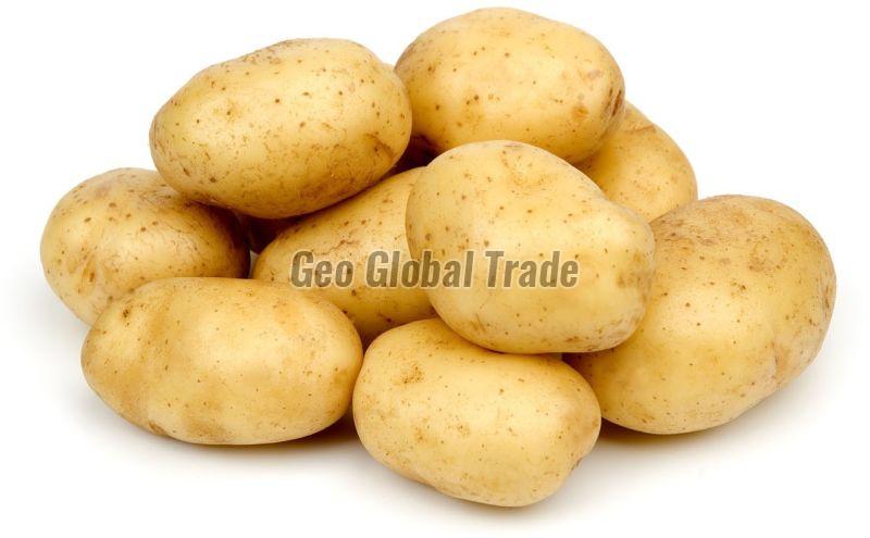 B Grade Potato