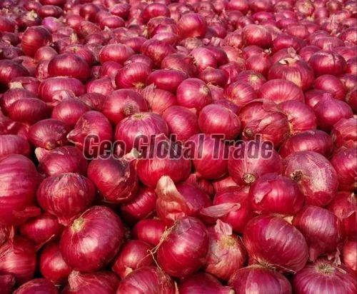 Organic Red Onion