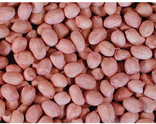 Bold Groundnut Kernel