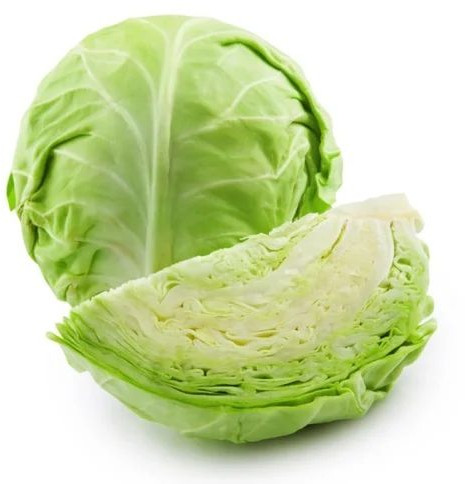 Fresh Green Cabbage