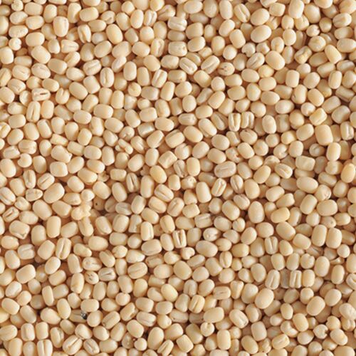 White Urad Dal