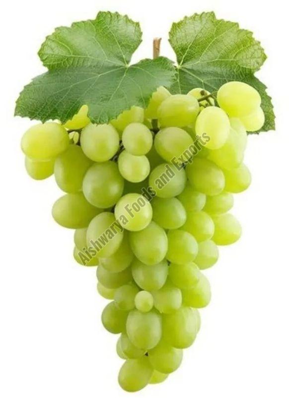 Fresh Grapes