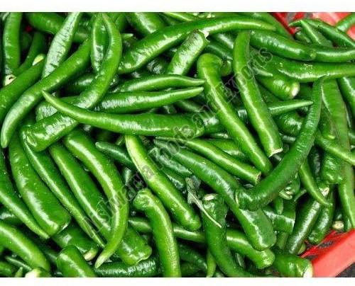 Fresh Green Chilli