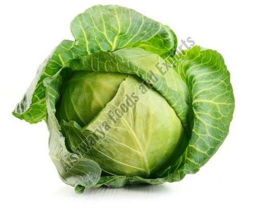 Fresh Organic Cabbage