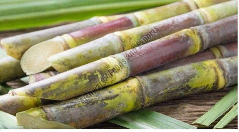 Fresh Sugarcane