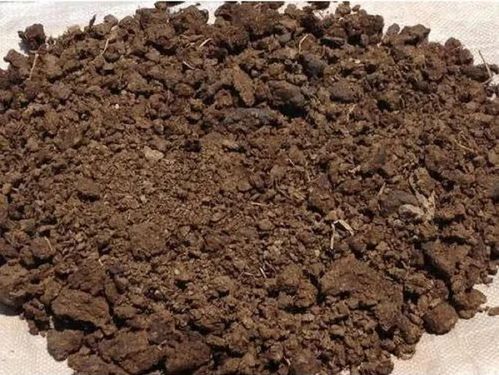 Organic Cow Dung Manure