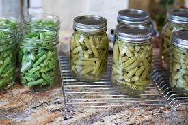 Canned French Beans