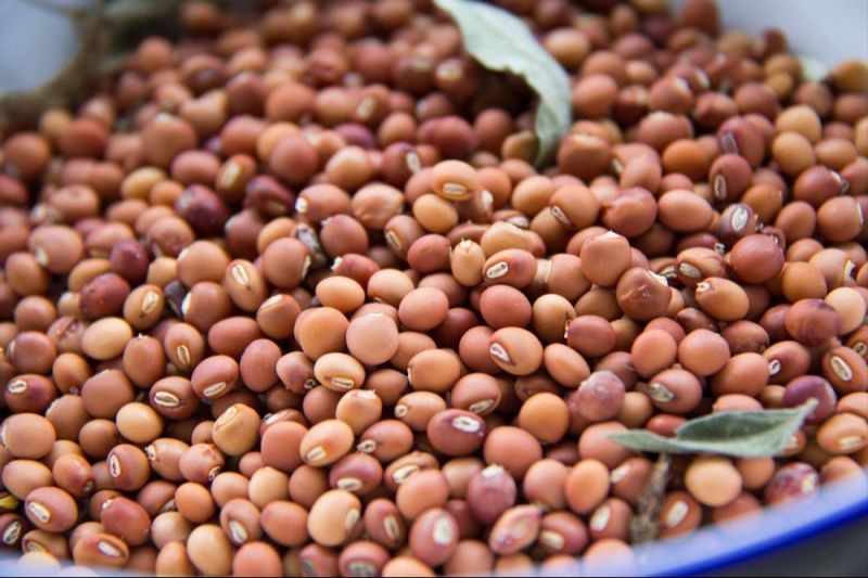 pigeon peas