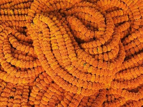 Marigold Flower Garland