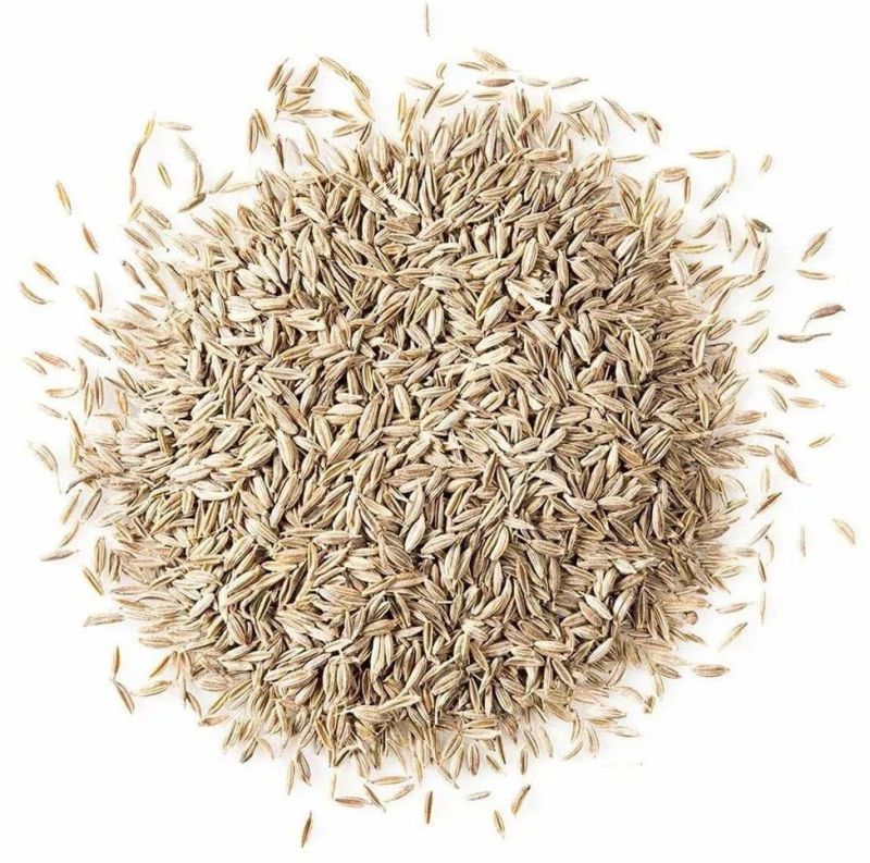 White Cumin Seeds