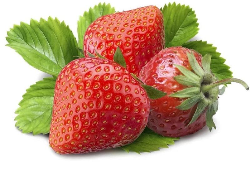 Fresh Strawberry