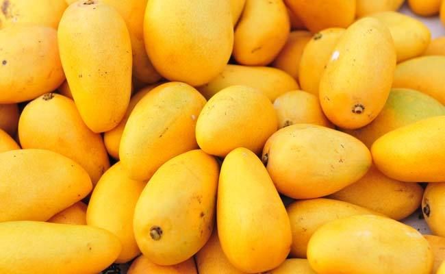 Fresh Yellow Mango