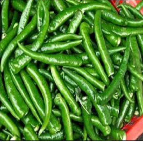 A Grade Fresh Green Chilli