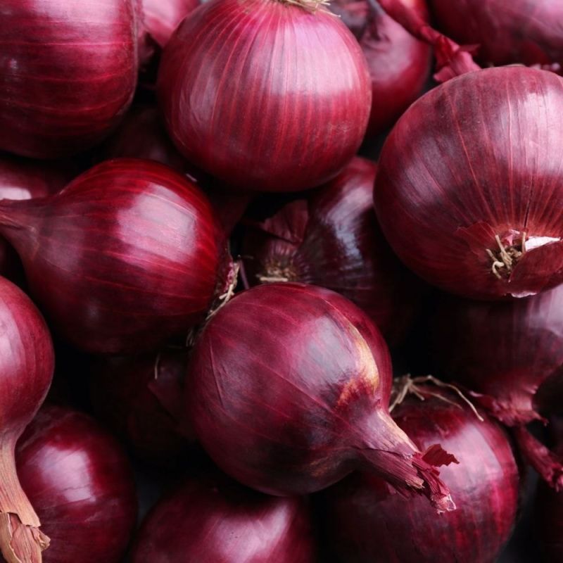 A Grade Red Onion