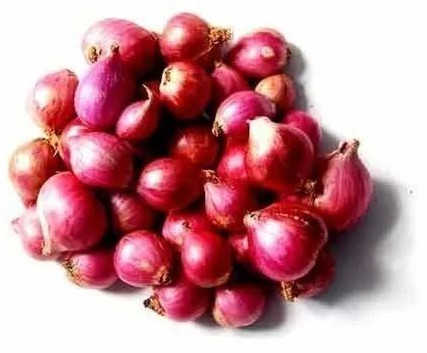 Small Red Onion