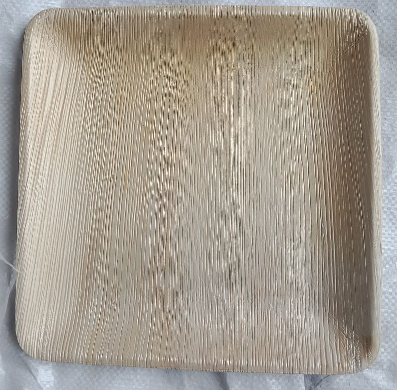 10 Inch Square Areca Leaf Plates