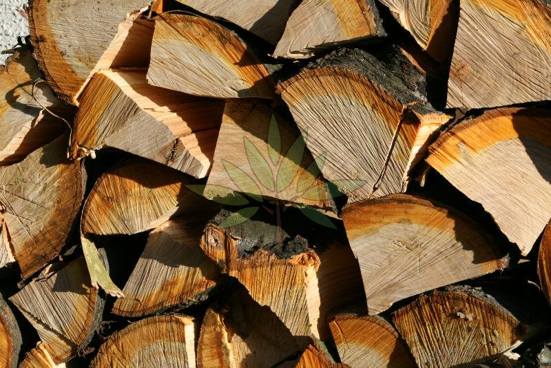 Heat Treated Seasoned Pine Wood