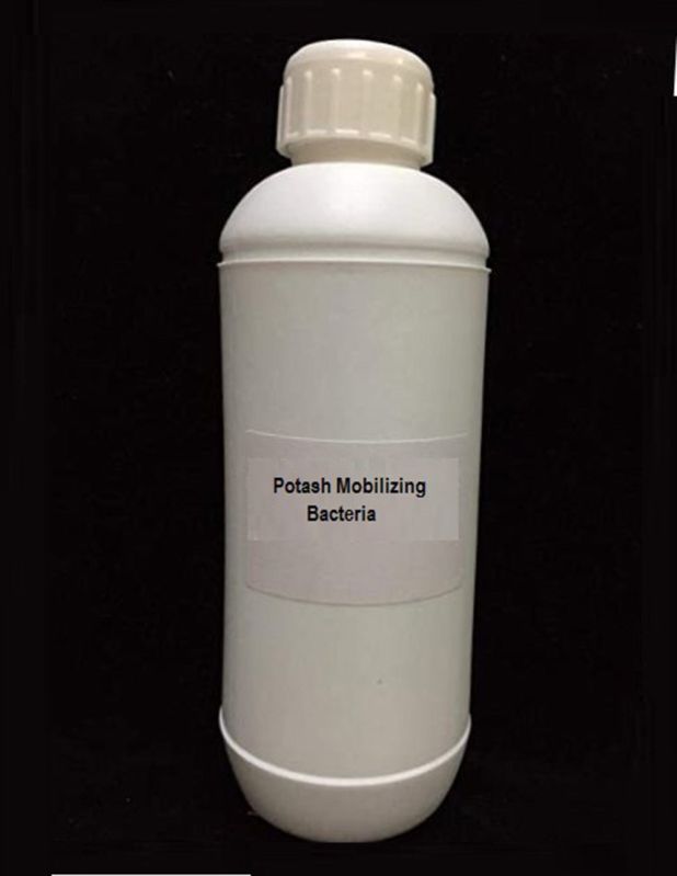 Potash Mobilizing Bacteria