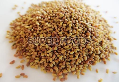 Alfalfa Seeds