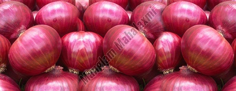 Big Size Red Onion