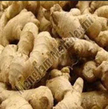 Fresh Indian Ginger