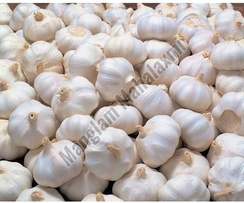 Natural Fresh Garlic