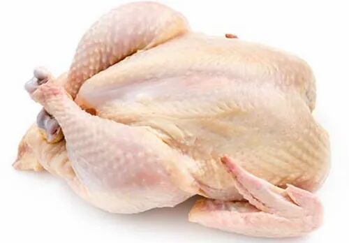 Fresh Chicken Meat