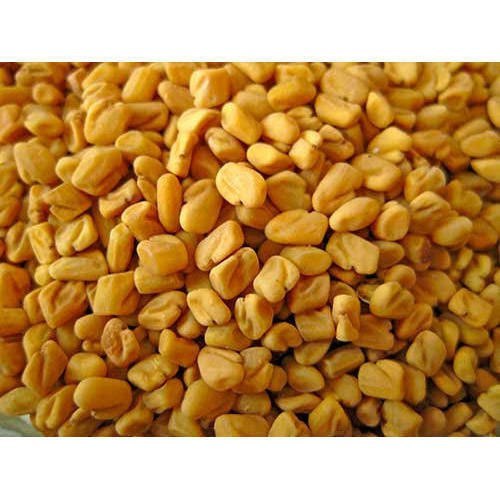 Bold Sortex Fenugreek