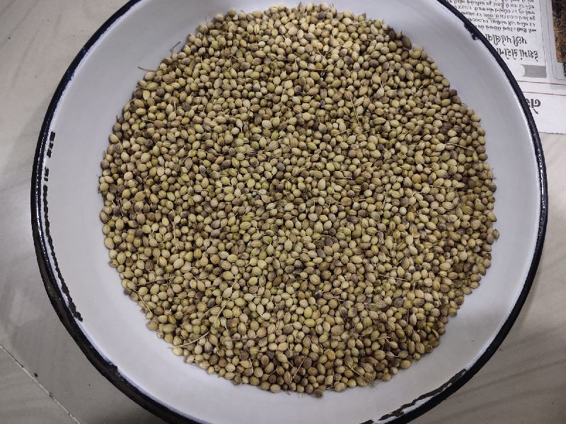 Eagle Gujarat Coriander Seeds ( Rs-70 to 75 Kg)