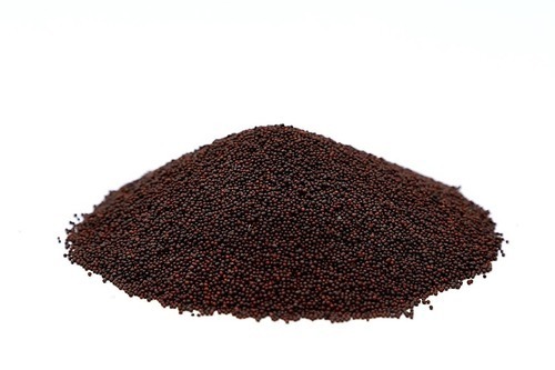 Micro Black Mustard Seeds