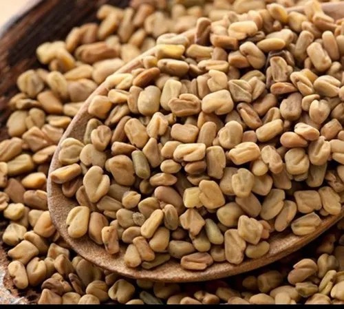 Regular Sortex Fenugreek