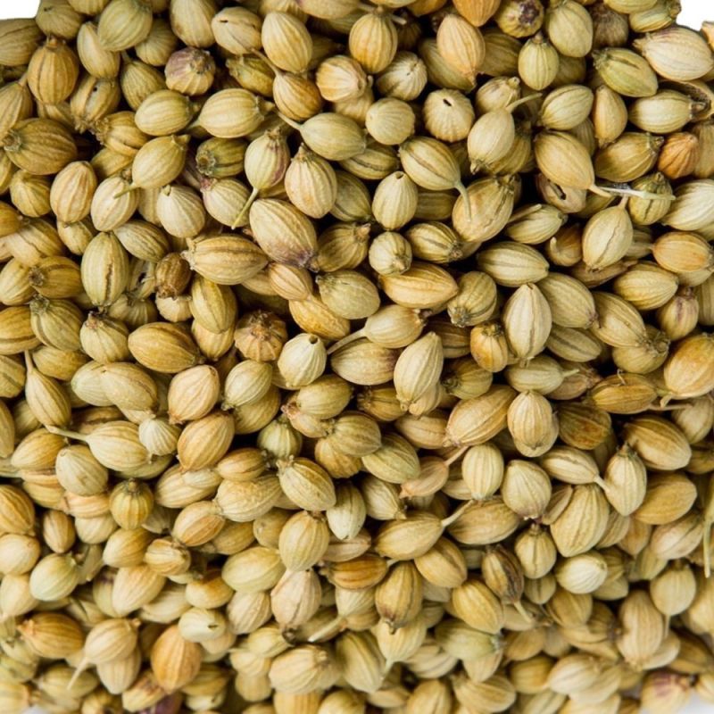 Scooter Coriander Seeds